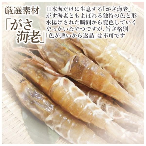 母の日に 冷蔵 極上 がさえび寿司を福井から 通常サイズ 届いたその日が旬の味わい 生鯖寿司の萩 Buyee Buyee 日本の通販商品 オークションの代理入札 代理購入