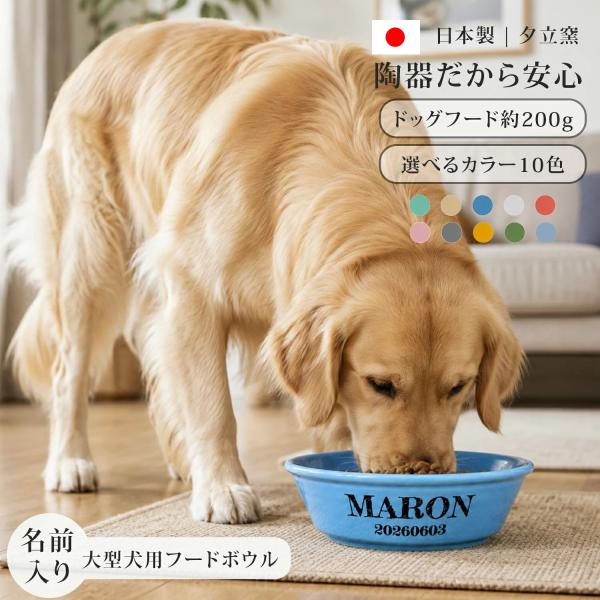 名入れ フードボウル 大型犬 早食い防止 カラー 全10色 pet193 | フードボール 犬 猫 ペット 食器 陶器 日本製 おしゃれ 餌入れ 餌皿 水飲み 給水器 皿 犬用