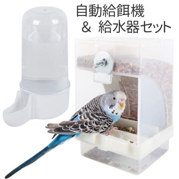 バードフィーダー 鳥 餌入れ 自動 小鳥 餌台 食器 インコ 自動給餌器 自動給水器 オウム 水入れ えさ入れ えさいれ 鳥の餌台  :nam222-0598:naimeinami - 通販 - Yahoo!ショッピング