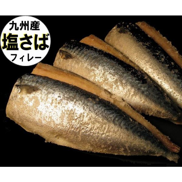 塩さば 10枚単位 九州産 Iqf 甘塩寒サバ 業務用 片身 約100ｇ 冷凍保存 玄界灘で寒獲れの真鯖の三枚下し 甘塩フィーレ加工の塩サバです 業務用に Buyee Buyee 提供一站式最全面最專業現地yahoo Japan拍賣代bid代拍代購服務 Bot Online