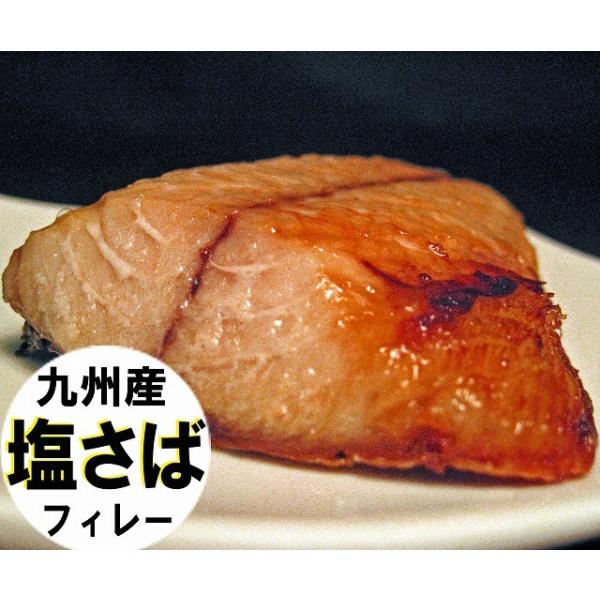 塩さば 10枚単位 九州産 Iqf 甘塩寒サバ 業務用 片身 約100ｇ 冷凍保存 玄界灘で寒獲れの真鯖の三枚下し 甘塩フィーレ加工の塩サバです 業務用に Buyee 日本代购平台 产品购物网站大全 Buyee一站式代购 Bot Online