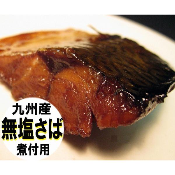 無塩さば 1枚 九州産 寒サバ フィーレ 業務用 片身 約100ｇ Iqf 冷凍 三枚おろしの真鯖 塩を使わず即凍結 鯖の煮付け 味噌煮込み フライ 竜田揚げ等に Buyee 日本代购平台 产品购物网站大全 Buyee一站式代购 Bot Online