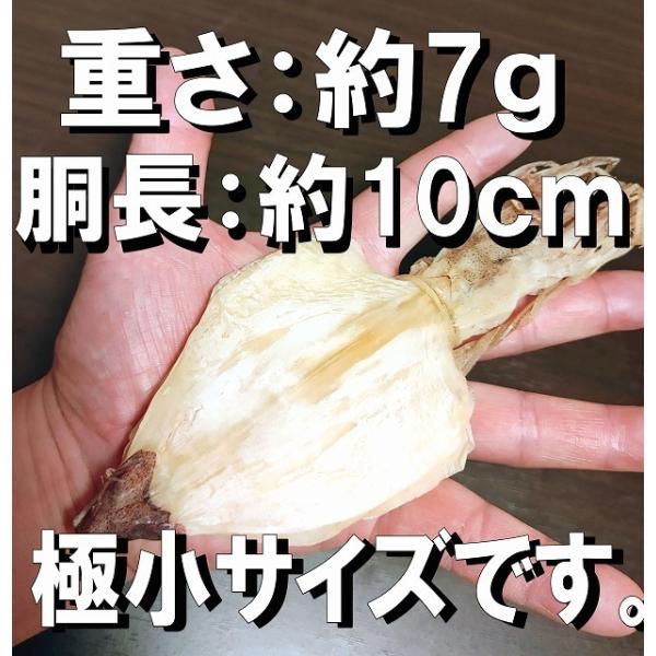 剣先するめ タイ産 超特大 ケンサキイカ 乾燥 ケンサキスルメ 剣先いか 剣先烏賊 槍いか けんさきするめ 剣先スルメ するめ スルメ あたりめ いか イカ アタリメ
