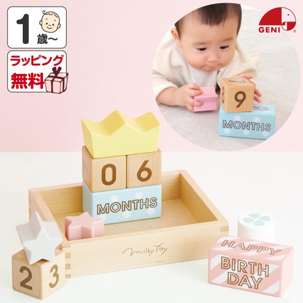 エド・インター（Ed・Inter） おもちゃ 1歳 知育玩具 男の子 女の子