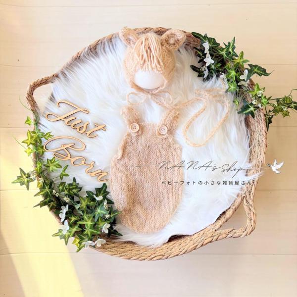 Lかごセット【ブラウン馬】♪ニューボーンフォト撮影衣装 小道具　干支　月齢フォト Lかごセット【ブラウン馬】♪ニューボーンフォト撮影衣装 小道具 干支