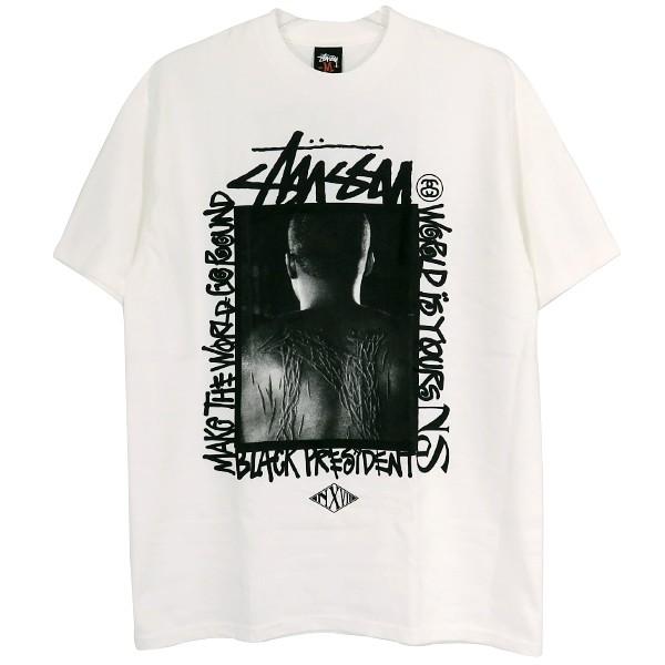 STUSSY ステューシー× NEXUSVII ネクサスセブン NAS Tシャツ フォト 