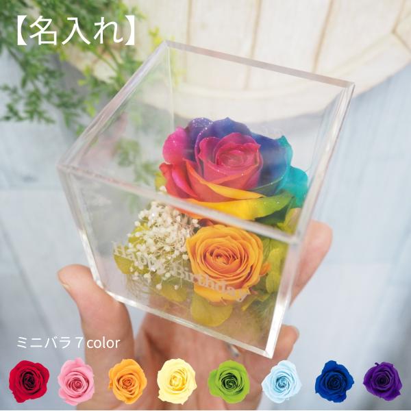 【高級プリザーブドフラワー】８色ラッピングリボン付きレインボーローズボックス nanairo-pf_nanairo-0020