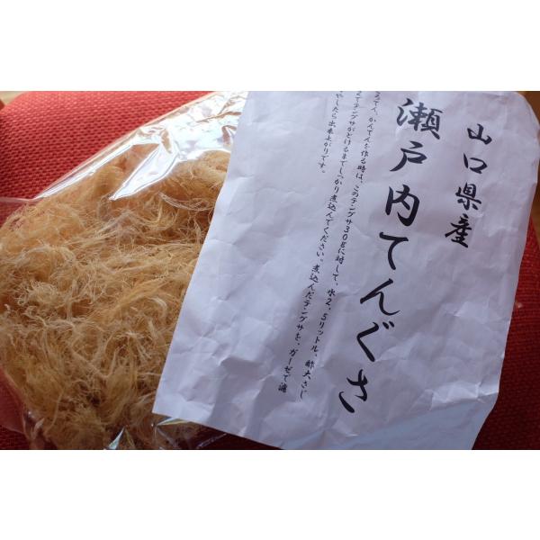 全国送料無料 山口県産 テングサ 100g 海藻 天草 てんぐさ 寒天 Buyee Buyee Japanese Proxy Service Buy From Japan Bot Online