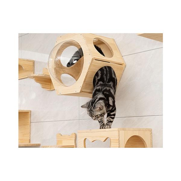 キャットステップ 壁付け 猫用 ハウス ハンモック キャットウォーク