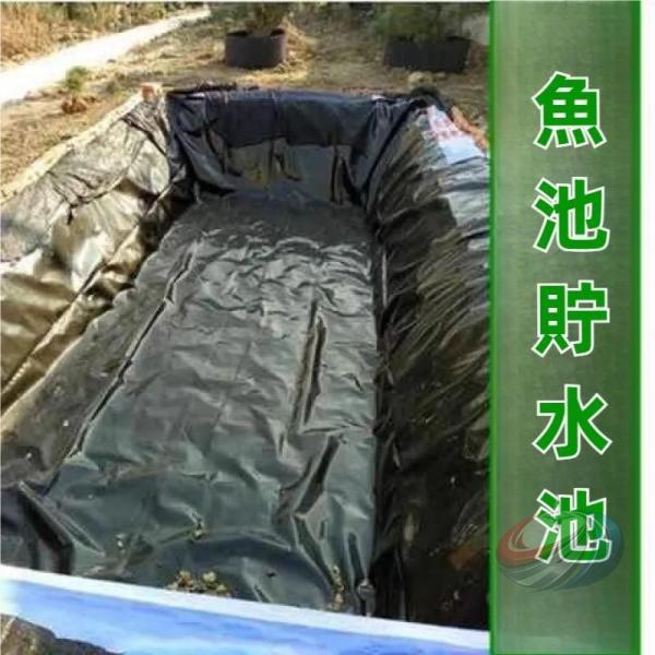 人工池用防水シート については斜面すべり止め HDPE製 プールライナー 3x7m 5x6m 7x7m 晟恒中馳 8x10m 11x12m 12x12m 魚および植物の扱いやすい の場合