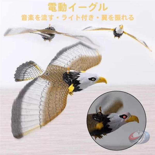 鳥よけカイト 鷹型 防鳥 凧タイプ 晟恒中馳 カラスや鳩対策に使いやすく、庭や畑を見守りながら装飾としても映えやすい鳥撃退用品