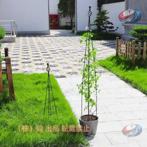 ガーデントレリス ローズオベリスク 晟恒中馳 バラ用 オベリスク アイアン 調整可能 植物サポート 花用支柱 観葉植物 トレリスで庭を彩る