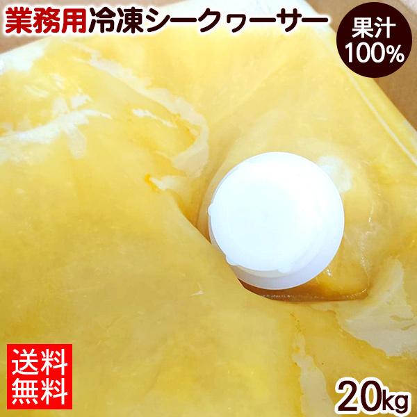 Ⓚ XYV[N[T[ʏ`100 20kg ij@/Y Ɩp [J[