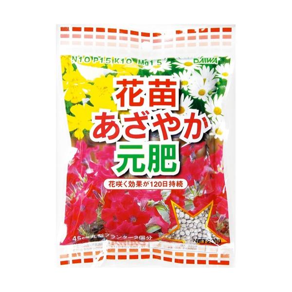 nanbahc_4907403560024