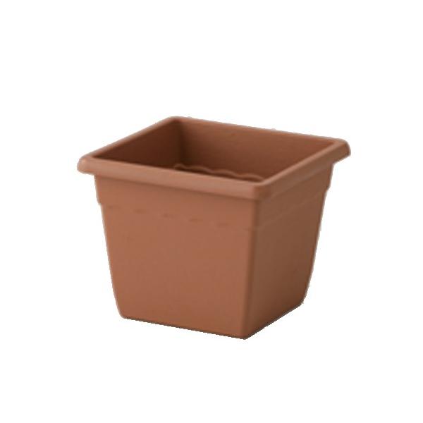 yACJzv^[ uVXNGAy260^ uE z