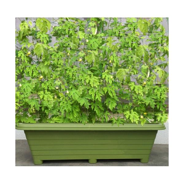 yKzyACJzv^[ K[fv^[y900^ z