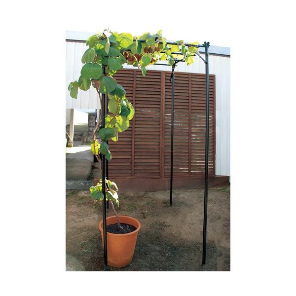 y^KpizyDAIMz|i ̒IZbgy KT|S ubN z