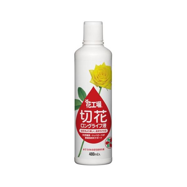 yZFw|z؉ԉ ԍH؉ԃOCtty 480ml z