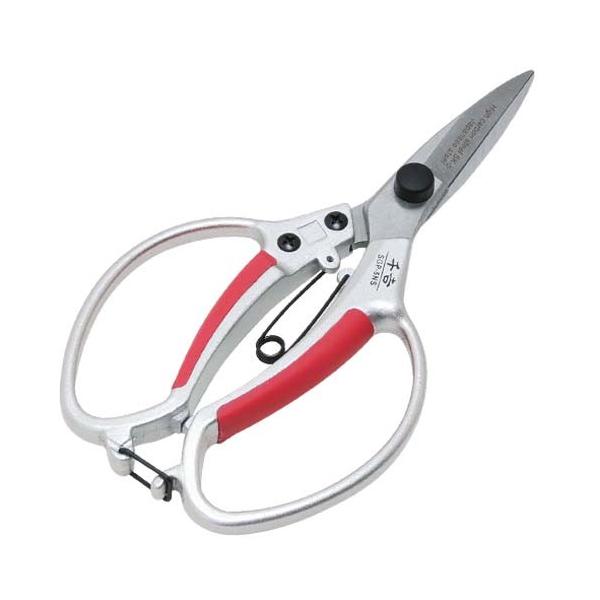 ygzAؖ~ A~Ayʐn SGP|5NSz