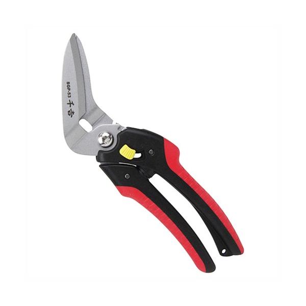 ygz K[f\͂݁ySGP|53 ԁE z