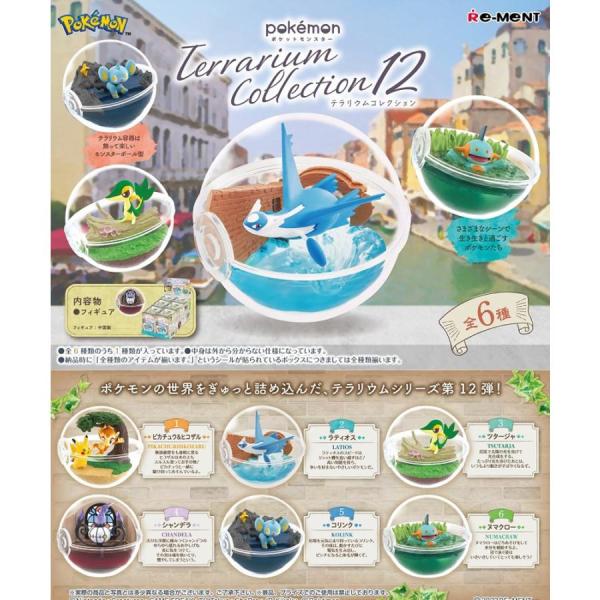 リーメント ポケットモンスター テラリウムコレクション 12 BOX商品 全