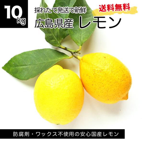 1国産瀬戸田レモン 10kg前後 あらら様 【公式通販】