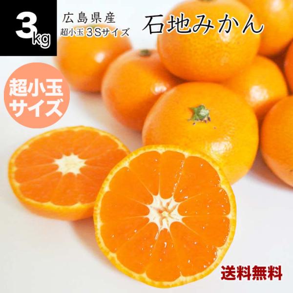 専用。お年玉超超特価❤みかん❤ダブルサイズお布団＊ボアケット❤チェリー＆ソーダ♥ 健ちゃんファームの石地みかん 超小玉 3Sサイズ 3kg 広島県産 3S