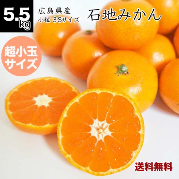 健ちゃんファームの石地みかん 超小玉 3Sサイズ 5.5kg 広島県産 3S