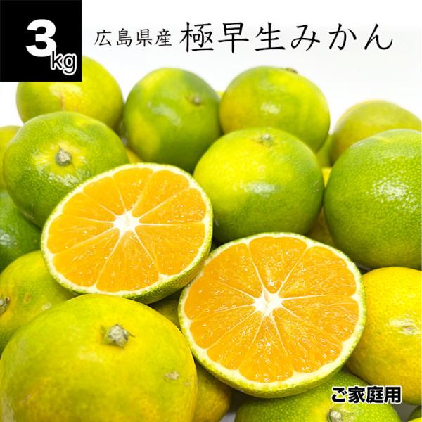 健ちゃんファーム 訳あり 極早生みかん 3kg 広島県産 Sサイズ以上 家庭