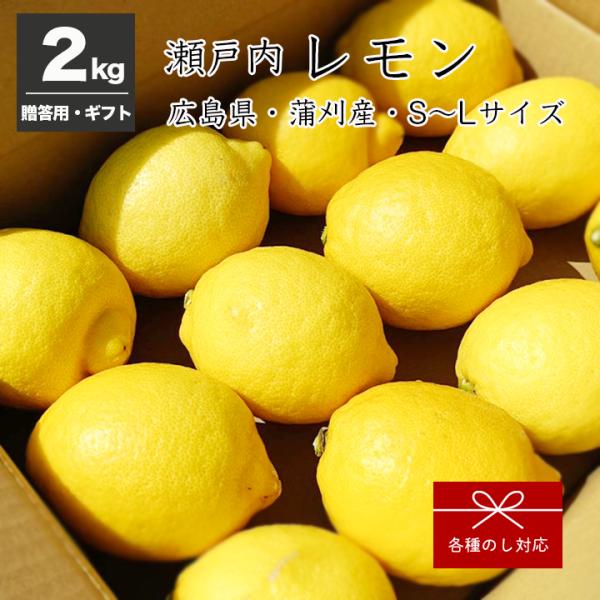 贈答用 広島県 蒲刈産 レモン 2kg S〜Lサイズ きむら柑橘農園 贈り物