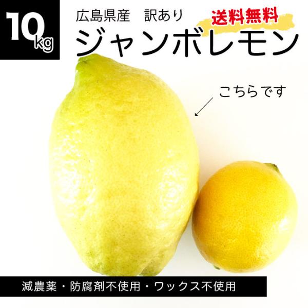 広島県産 訳あり 徳さんのジャンボレモン10kg 国産レモン 送料無料