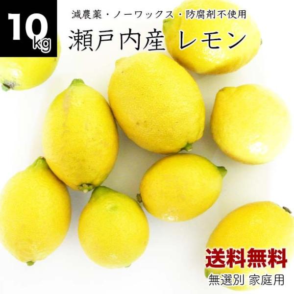 広島県産 徳さんの国産レモン 10kg 送料無料 減農薬 訳あり 防腐剤不