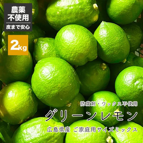 農薬不使用 徳さんの グリーンレモン 広島県産 2kg 国産レモン 瀬戸内 