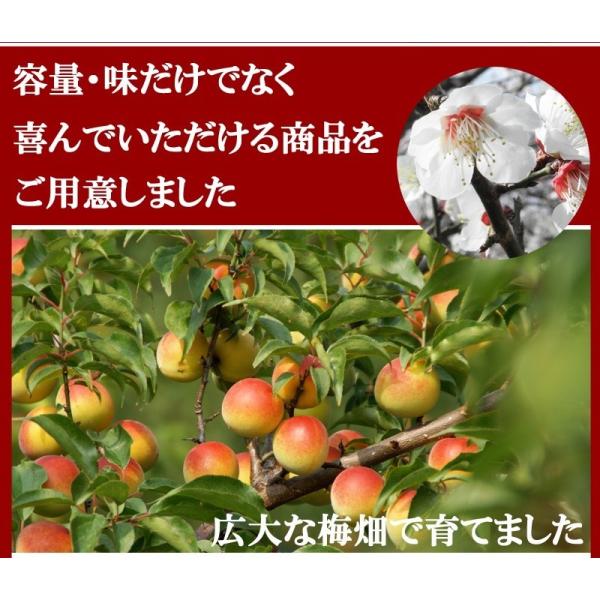 しっかりした粒が自慢の高級ブランド 紀州南高梅 紀州南高梅つぶれ梅400g 2袋選べる３種 味梅 ハチミツ味 しそ梅 かつお梅 塩分約8 代金引換不可 指定日及び時間帯指定不可ネコポス便 代購幫