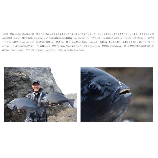 nankiya_68-993_3_d_20251009164255