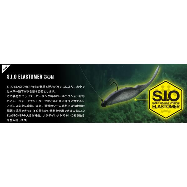 nankiya_bitalminnow-5_2_d_20260305124414