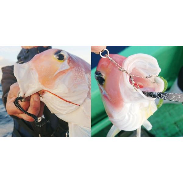 nankiya_c-kansei-dc_3_d_20260327191640