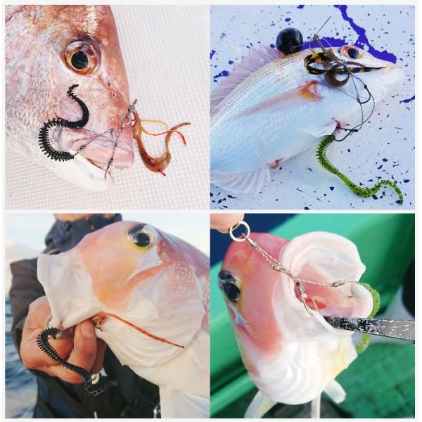 nankiya_c-kansei_2_d_20220909222343