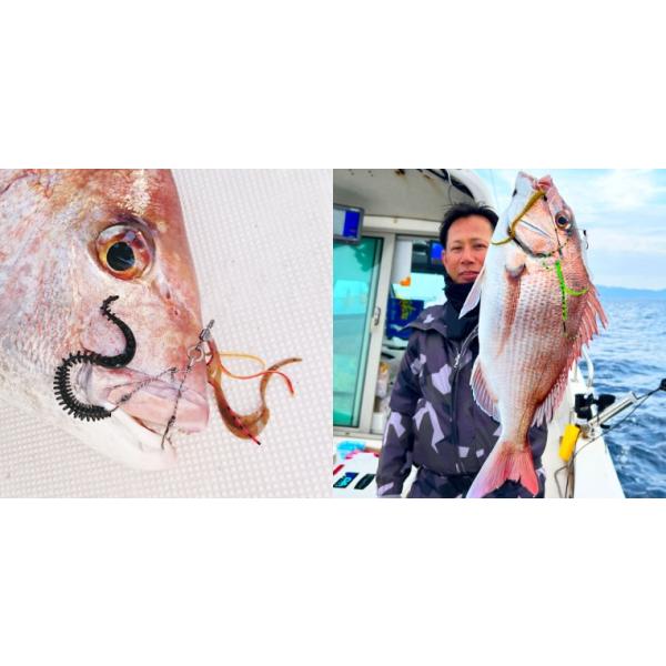 nankiya_c-supea-dc_2_d_20260327191639