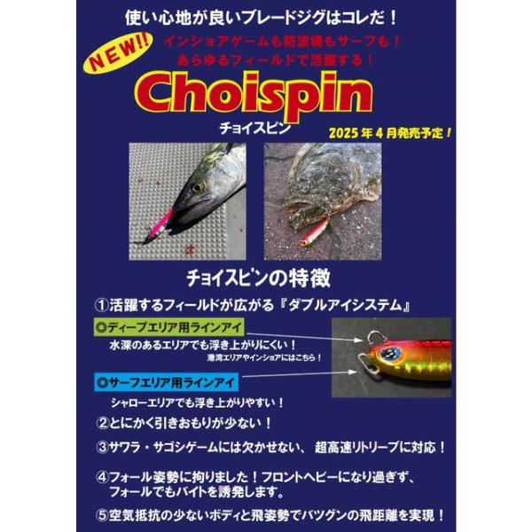 nankiya_choispin-40_3_d_20250809161755