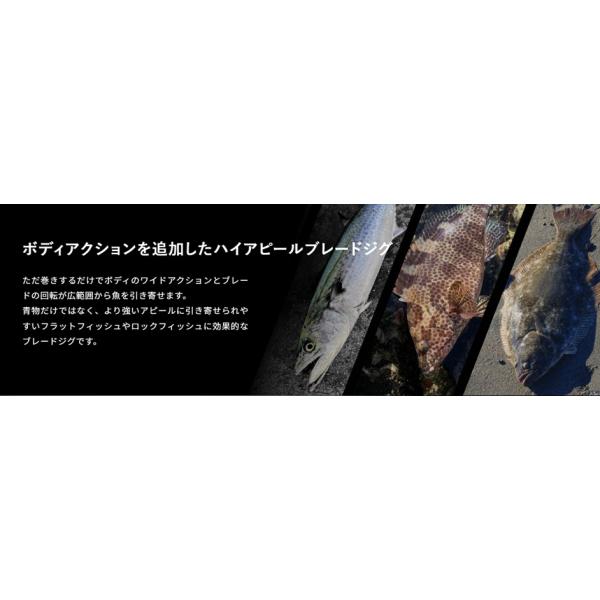 nankiya_e-brade-40-w_2_d_20250927191805