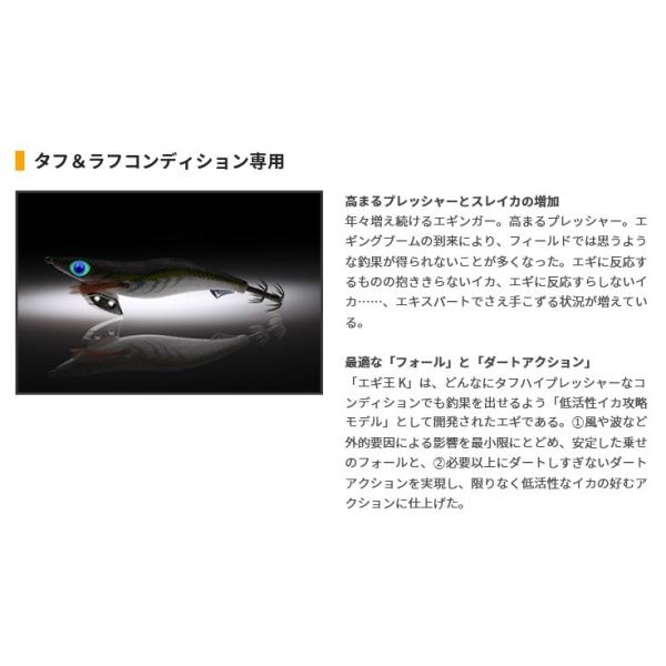 nankiya_egioh-k-b-004-3_1