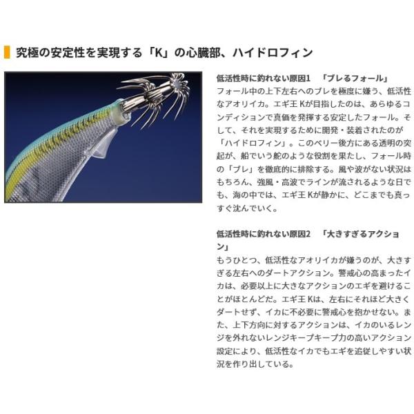 nankiya_egioh-k-b-005-3_2