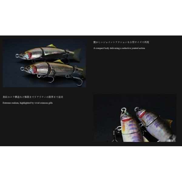 nankiya_gillary-52_5_d_20260129180751