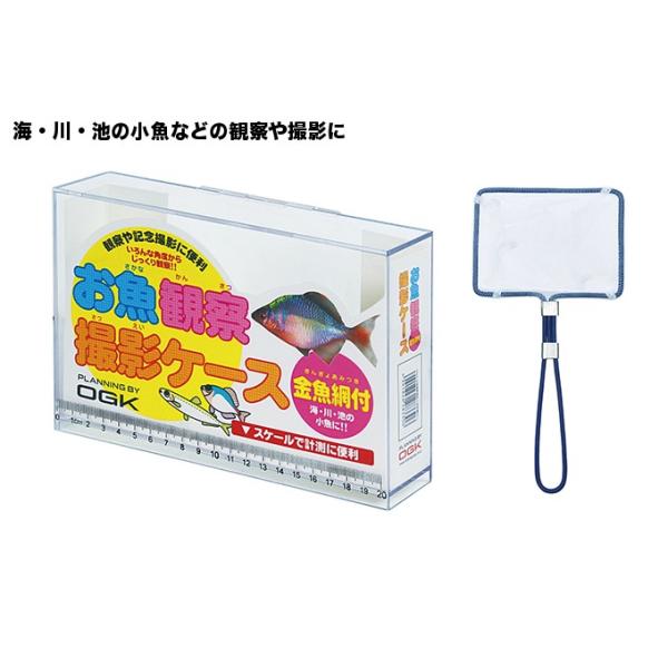 小魚の観察・撮影に適したクリアケース。小魚がすくいやすい金魚網付。20cmまでのスケールで計測に便利。飛び出し防止の蓋付き。海、川、池の小魚をはじめ水中生物の観察に最適。■規格：L■ケースサイズ(cm)：21×5×17■網全長(cm)：18...