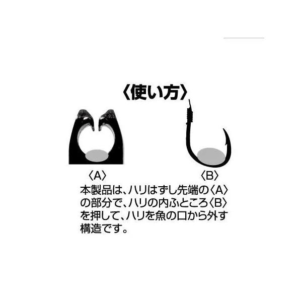 nankiya_tf-hari_2_d_20250807181542