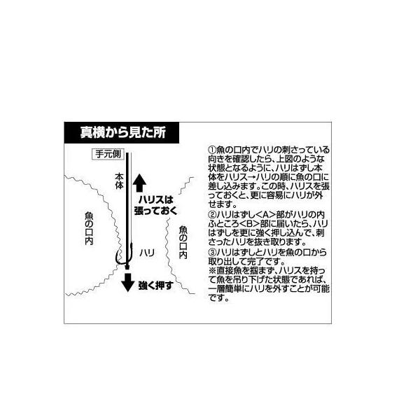 nankiya_tf-hari_3_d_20250807181542