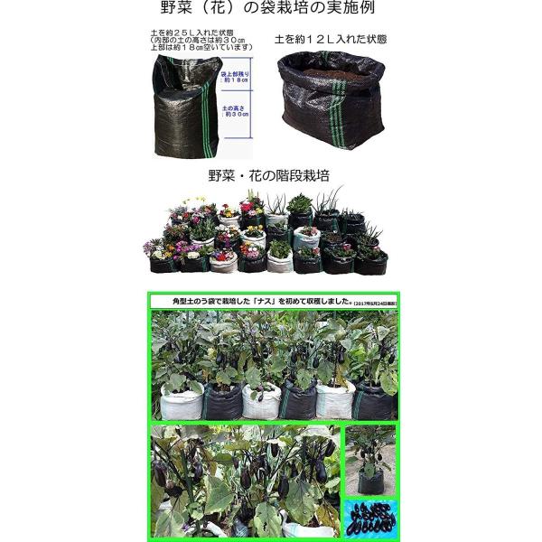 お気に入り 袋栽培 Uv剤配合 黒50枚 プランター 鉢兼用 花 野菜の根の成長に優れた網目状の メッシュ栽培袋uv黒pe 50枚 通気性 通水性良好 国産正規品