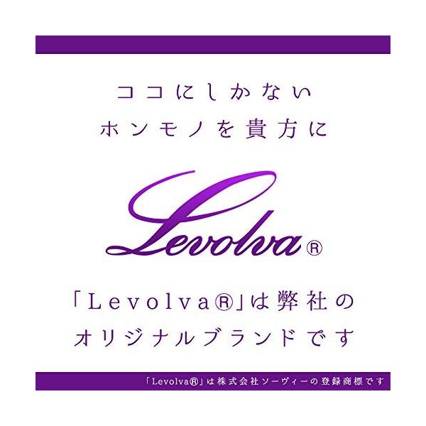 Levolvaレヴォルヴァmh23sワゴンr スティングレー含む 専用スマート車中泊マット Lvmr 5 車中泊