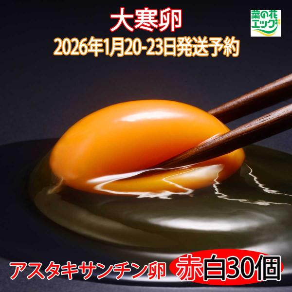 縁起のよい大寒たまご赤玉15個白玉15個です。※送料込みの価格です※2026年1月20日から1月23日発送限定（順次発送いたします。発送日は発送メールでご確認ください。出荷後から郵便局へご連絡いただければ到着日時の変更ができます。）※大寒に...